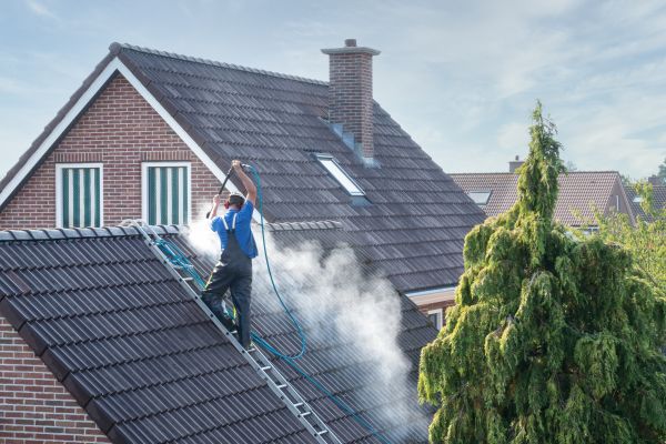 Savannah Roof Cleaning