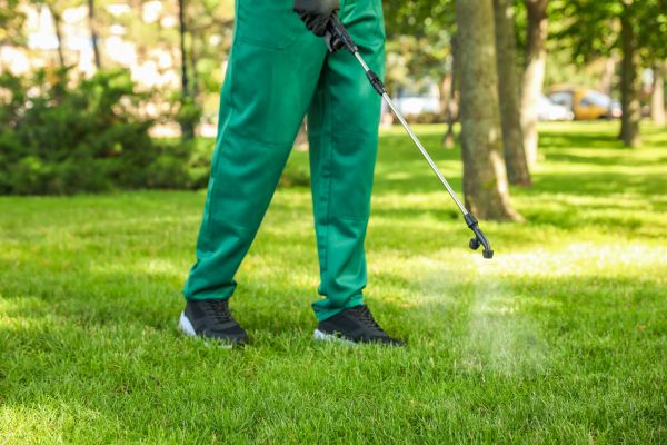 Savannah Lawn Treatment